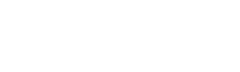 lakeview_logo_reverse